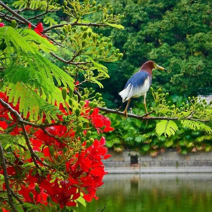 初夏吃什么好？